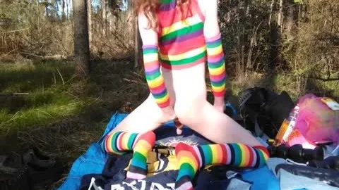 Regenbogenwald
