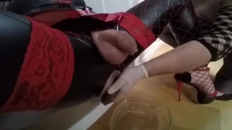 Einen Lumpen mit Tomaten füttern