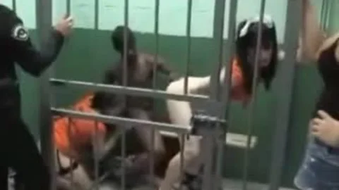Gefängnisvögel